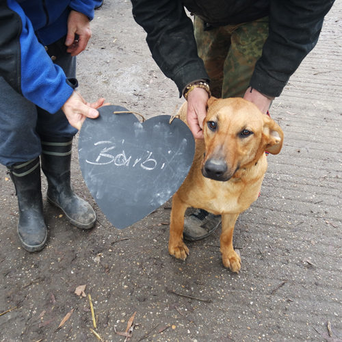 barbi_2016-10-16_01