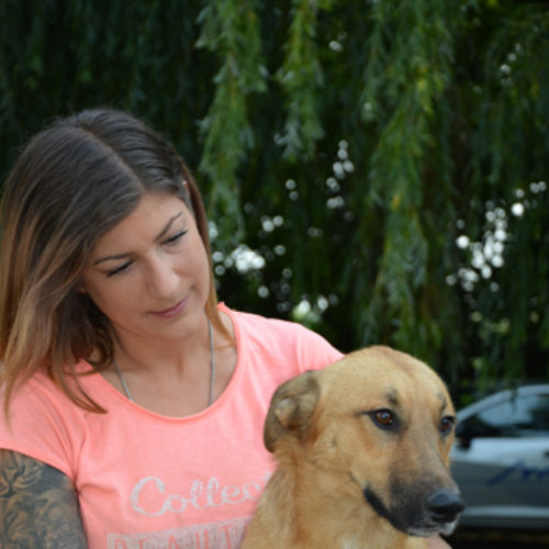 barbi_2017-06-28_16