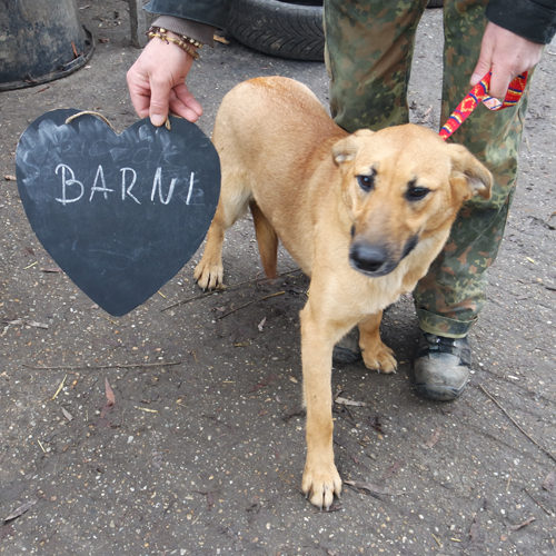barni_2016-10-16_01