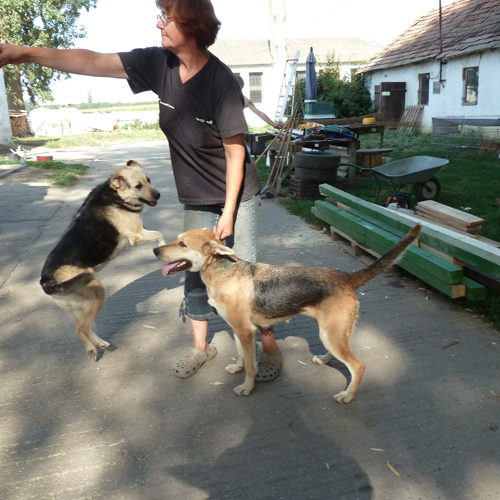 dagi_2013-08-08_01