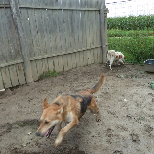 dagi_2014-08-15_01
