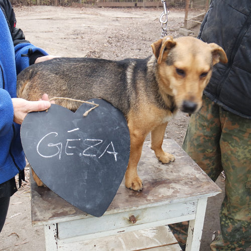 geza_2016-10-16_02