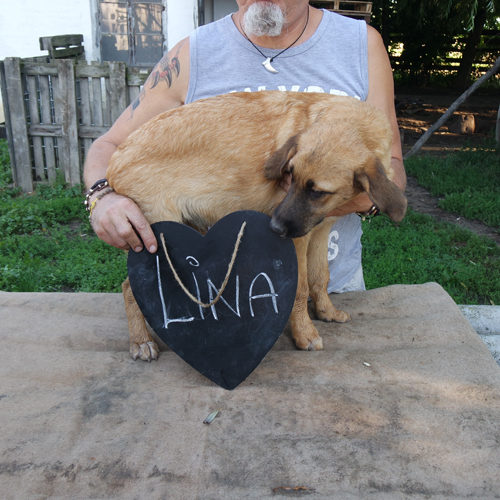 lina_2016-06-26_01