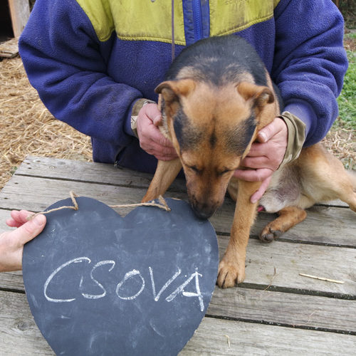csova_2016-10-16_01