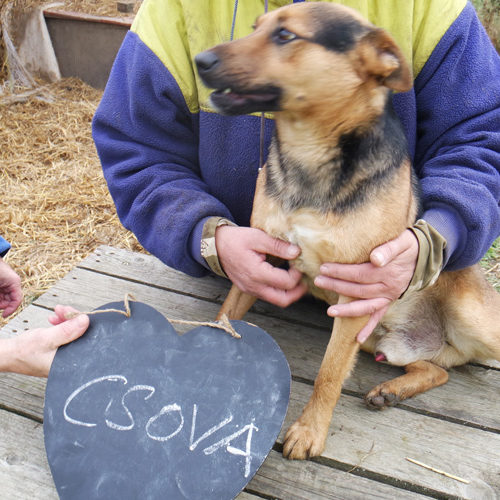 csova_2016-10-16_02