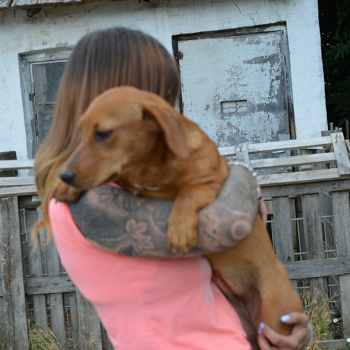 lilli_2017-06-27_05