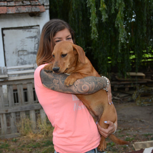 lilli_2017-06-27_10