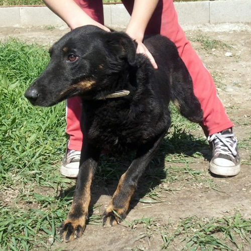 negro_2012-06-21_01
