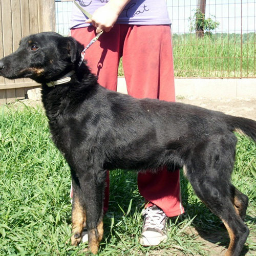 negro_2012-06-21_05