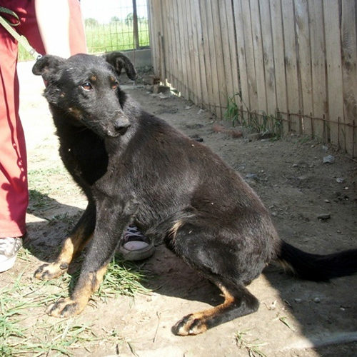 negro_2012-06-21_06