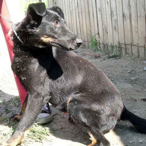 negro_2012-06-21_09