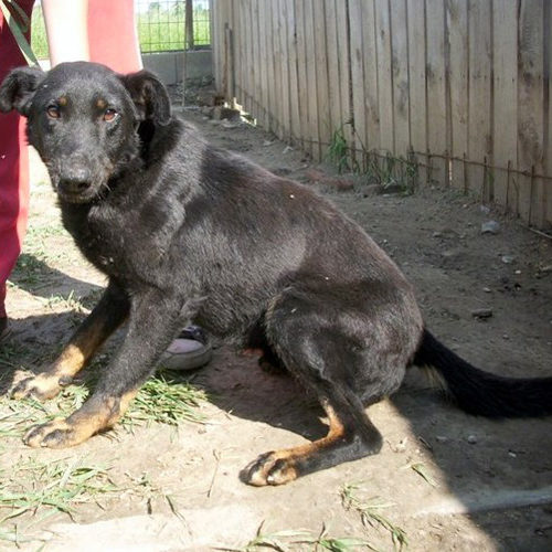 negro_2012-06-21_10