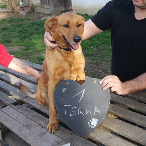 terka_2017-01-22_01