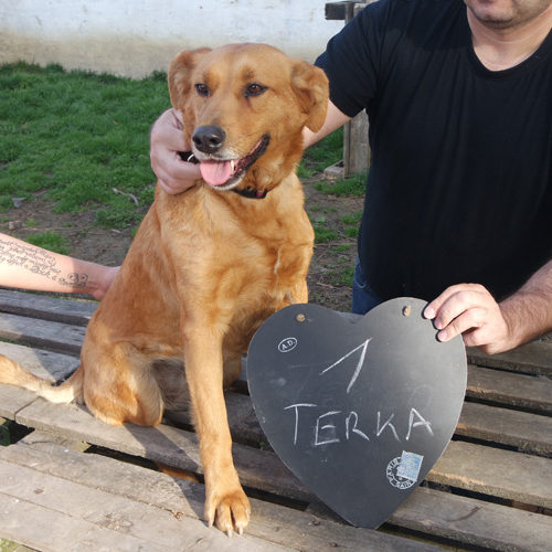 terka_2017-01-22_02