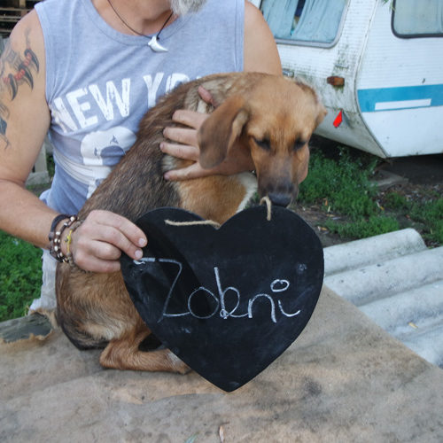 zokni_2016-06-26_01