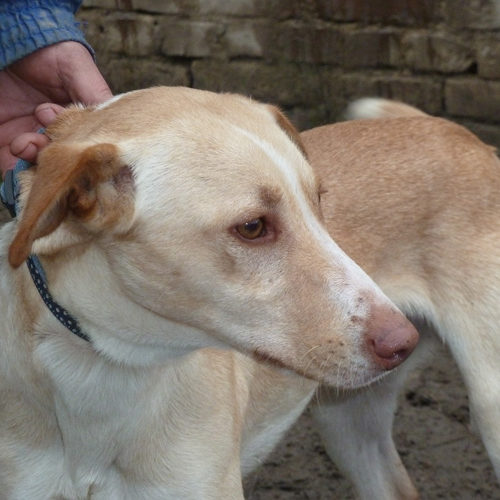 bruno_2013-12-06_04