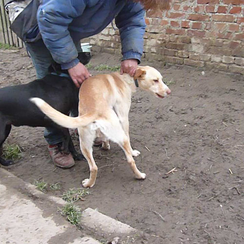 bruno_2013-12-06_05