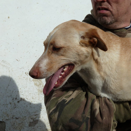 bruno_2014-02-15_02