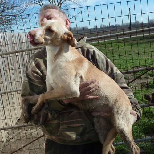 bruno_2014-02-15_04