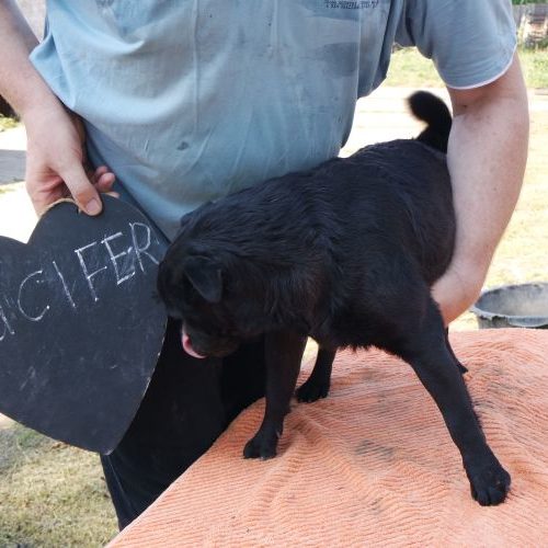 lucifer_‎2018-‎05-‎25_02