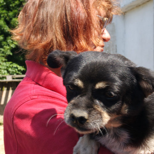 margit_2018-05-25_05