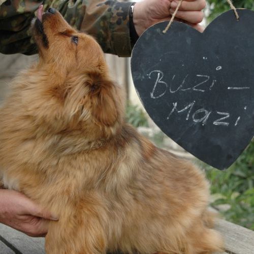 buzi-mazi_‎2018-‎05-‎11_01