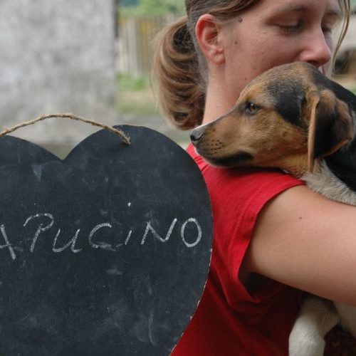 capucino_‎2018-‎05-‎11_13