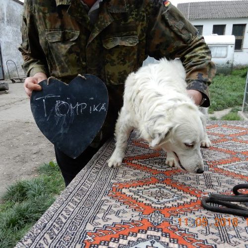 tompika_‎2018-‎05-‎11_02