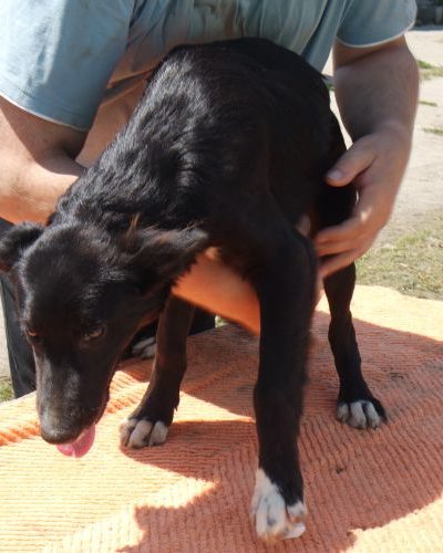 kajla_‎2018-‎05-‎25_15