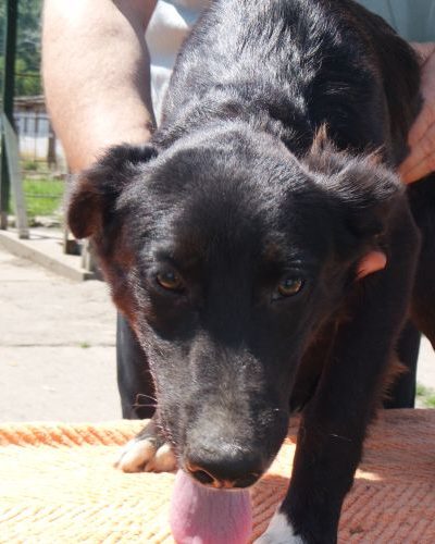 kajla_‎2018-‎05-‎25_16