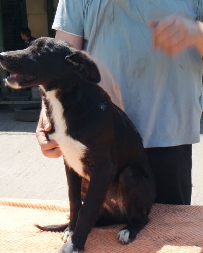 kajla_‎2018-‎05-‎25_20