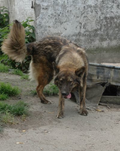 rio_‎2018-‎05-‎11_04