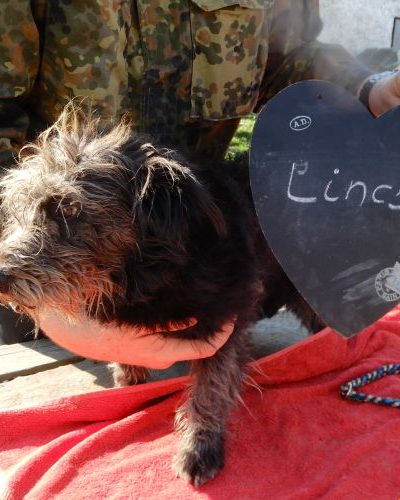 lincsi_‎2018-‎10-‎12_01