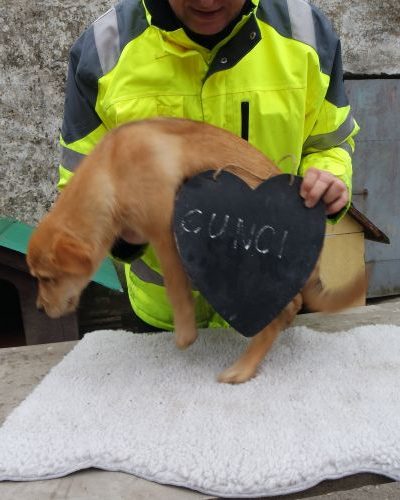 cunci_‎2019-‎03-‎17_16