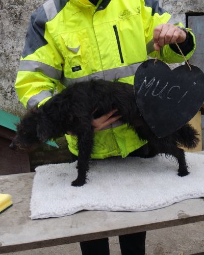 muci_‎2019-‎03-‎17_38