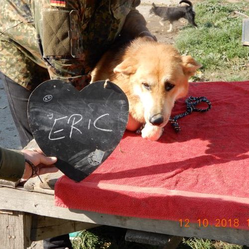 eric_‎2018-‎10-‎12_01