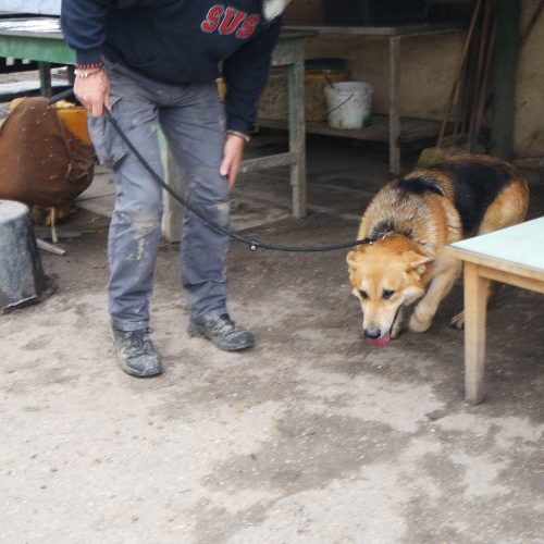 eric_‎2019-‎03-‎17_01