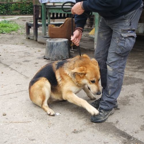 eric_‎2019-‎03-‎17_03