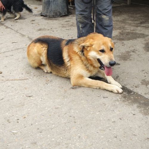 eric_‎2019-‎03-‎17_04