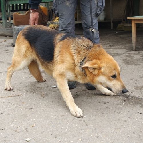 eric_‎2019-‎03-‎17_05