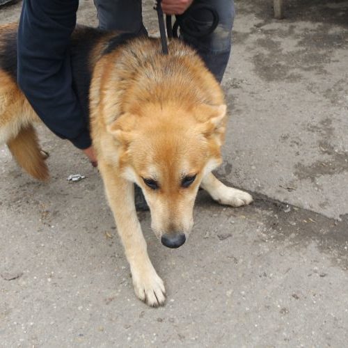 eric_‎2019-‎03-‎17_06