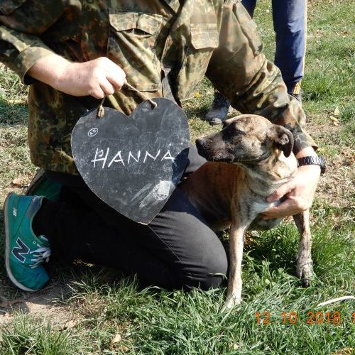 hanna_‎2018-‎10-‎12_01
