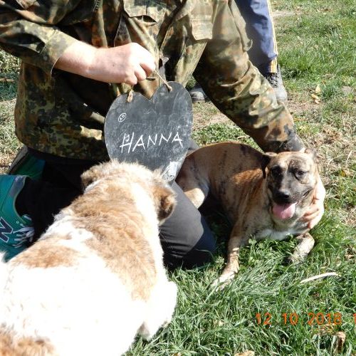 hanna_‎2018-‎10-‎12_02
