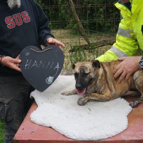 hanna_‎2019-‎03-‎17_01