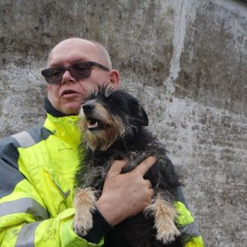 nyufi_‎2019-‎03-‎17_10