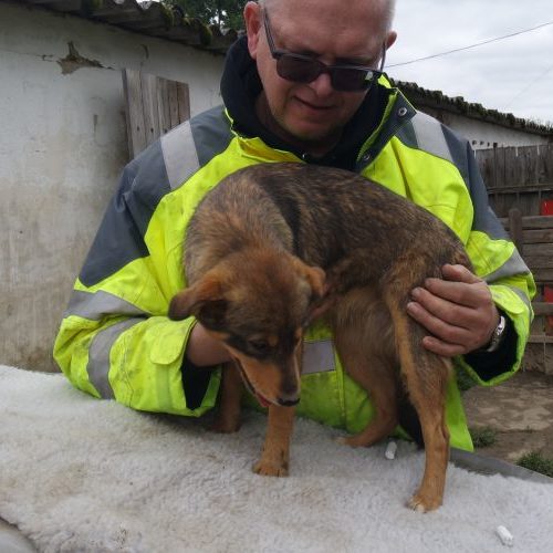 suzi_‎2019-‎03-‎17_07