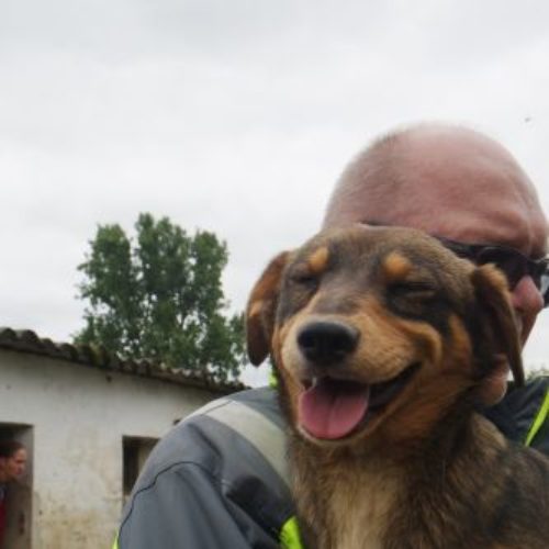 suzi_‎2019-‎03-‎17_09