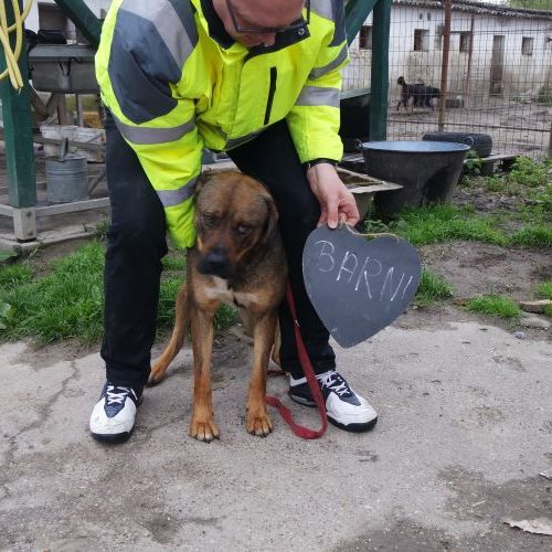 barni_‎2019-‎03-‎17_02