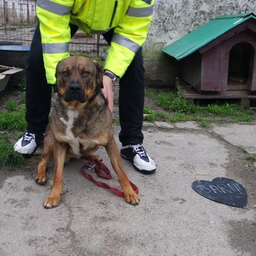 barni_‎2019-‎03-‎17_04