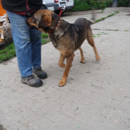 barni_‎2019-‎03-‎17_11